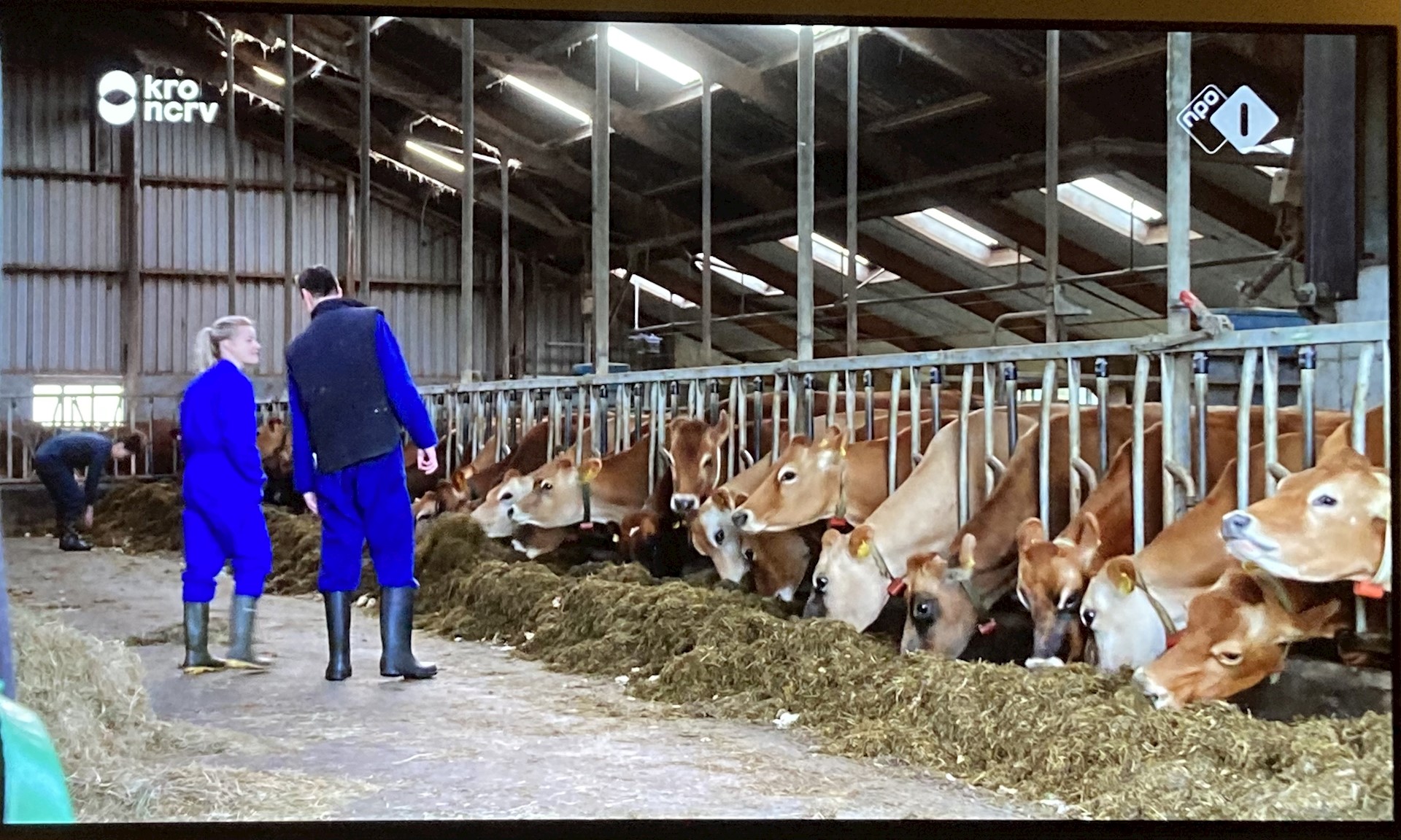 BzV De liefde bloeit op!